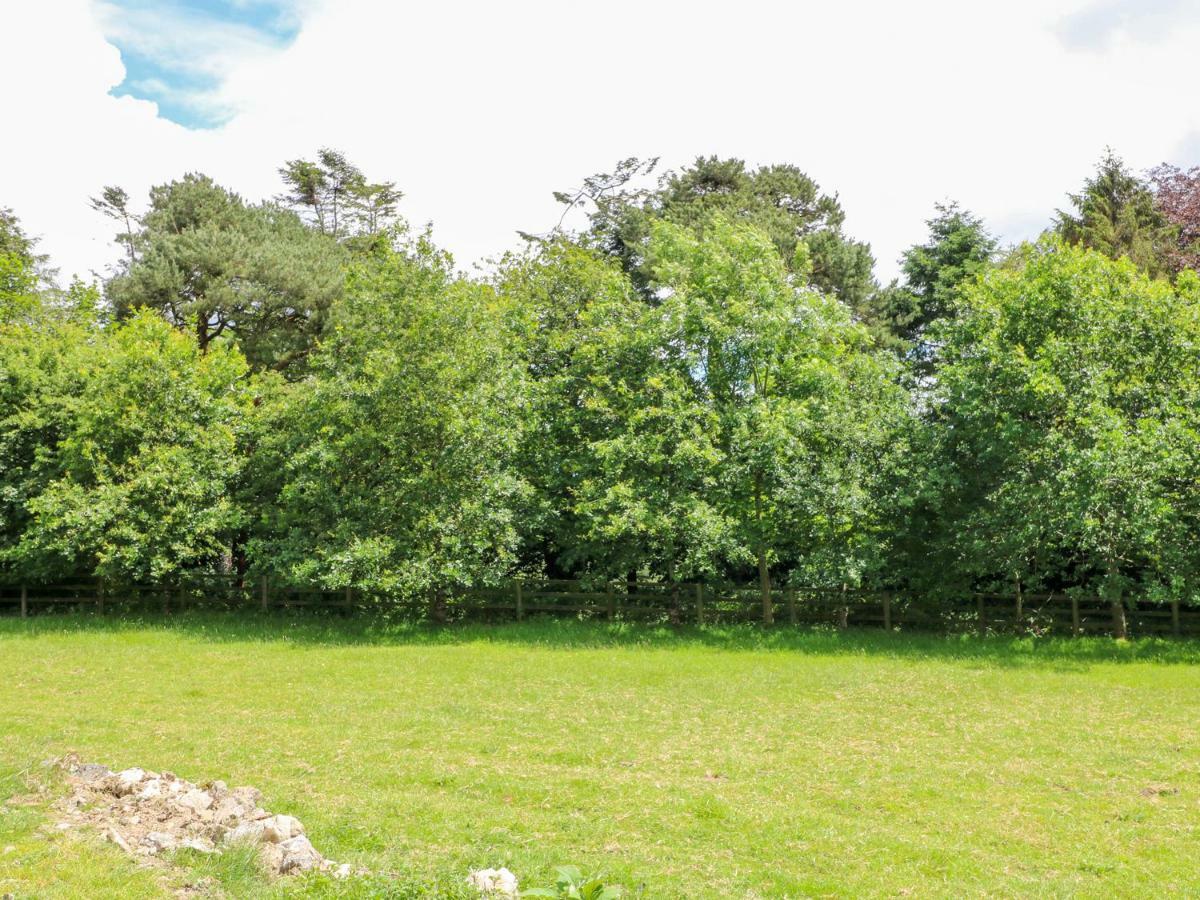 The Old White Cottage Shillelagh エクステリア 写真