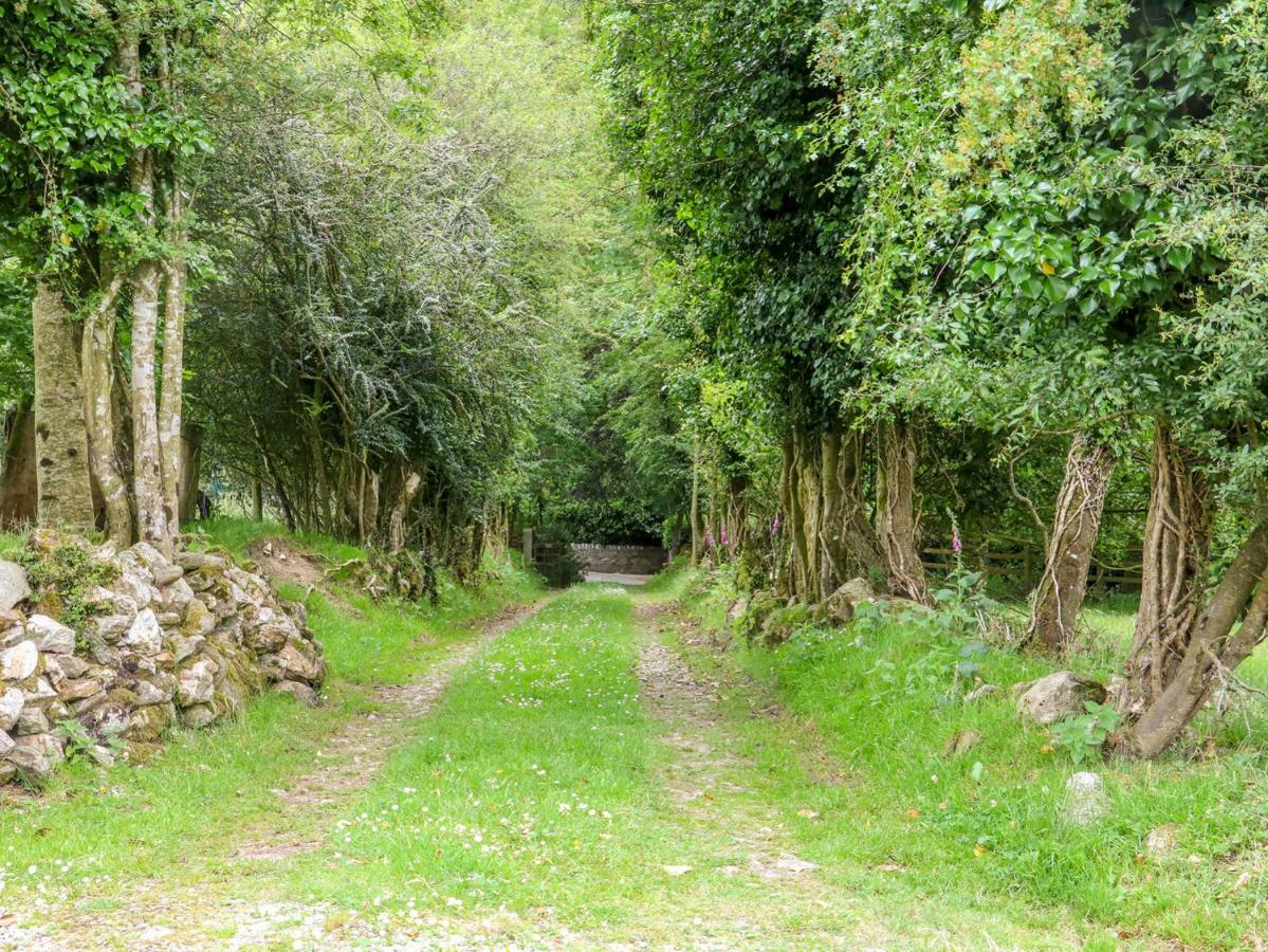 The Old White Cottage Shillelagh エクステリア 写真